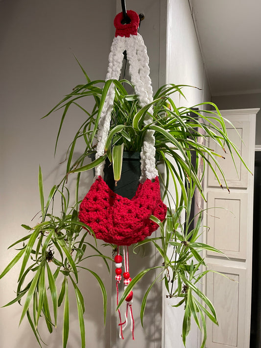 Crimson & Cream Crochet Plant Hanger