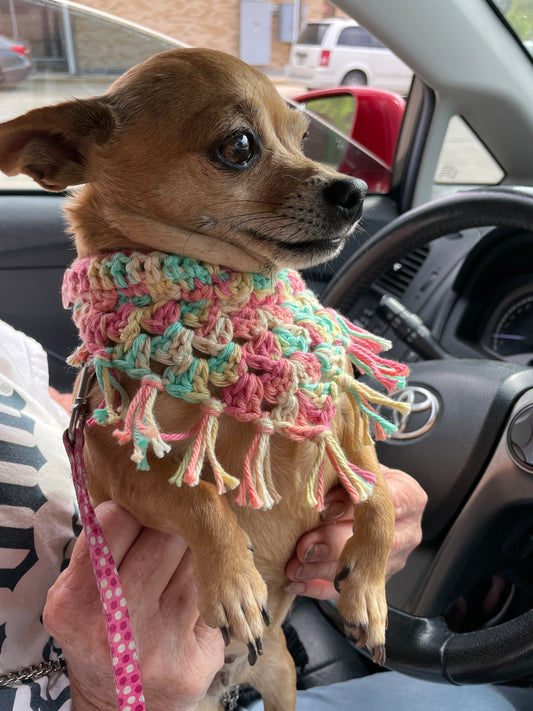 Cotton Crochet Puppy Bandana – Handmade Pet Accessory with Fringe